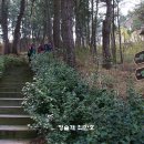 수산교차로(동측) 네이버블로그