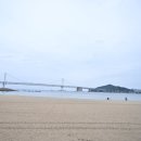 마도로스횟집 - 고성군 심층수길 40-4 | 광안리 맛집 광안대교 뷰 맛집 마도로스 횟집 후기