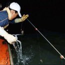 신안갯벌세발낙지 이미지