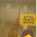 지반데코
