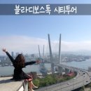 오마이블라디 이미지