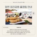 영농조합법인 홍천명품한과 | [공지] 농부의 시장 11월 16~17일 양천 파리공원 출점팀 안내