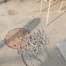 서라아파트 이미지