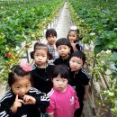 별솔농장 이미지