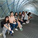 양명여자고등학교 이미지