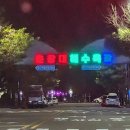 백일야영장 | 춘장대 오토캠핑장 백일캠핑장 해루질하기 좋은 곳