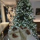 오로라케익하우스 이미지