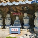 대청사슴 이미지