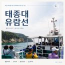 부산 태종대 유람선 후기, 타는 곳·시간표·요금 한눈에 정리