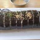 꿈을담은김밥 네이버블로그