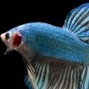 에스온누리약국 이미지