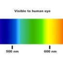 스마트폰으로 보는 세상 이미지