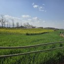 씨앗등펜션 이미지