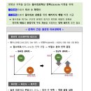 낙수미용 이미지