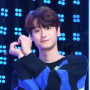틴틴 이미지