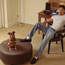 GOOD LIFE DOG 이미지