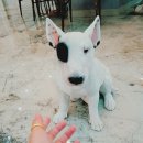 예빈인테리어
