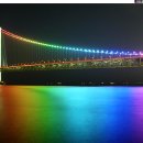 현종농장 Daum카페