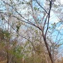 상부상회 이미지