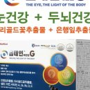 (주)테라진코리아