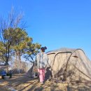 (주)월드펫 | 꼭 가보고싶었던 경북 '의성펫월드 캠핑장' 첫방문 애견동반 2박3일 캠핑 후기