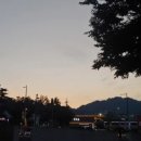 정미보리밥 이미지