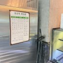 힐링(카페) 코스 | [영월 비브릿지카페] 힐링코스 완-성 C코스 내돈내산 후기🥗🍖🍕