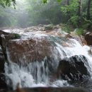 보령(주포)-100 이미지