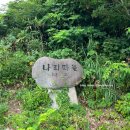 울릉공작소 | 울릉 3일차: 전지훈련기 아니고 휴가기록 맞음(성인봉,나리분지,원시림,나리촌식당,꿀단지식당,스노쿨링...