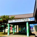 가파도 | [제주/가파도] 8월 말 제주 가파도 여행 후기