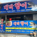 김해시청역 | [김해시청역 향어회] 대박맛있는 향어회 포장해서 맛있게 먹은 솔직 후기!