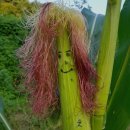 영빈상회