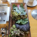 안성파크 이미지