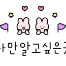 뭐길래산장식당 이미지