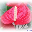 부동산 실전경매 이미지