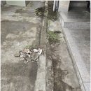 탄중로471번길 이미지