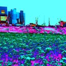 [공지] 지상에서 1센티 떠 있는 실험_1 (나주 남평 드들강 강물위에쓴시)