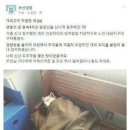 부산지방경찰청 Daum카페