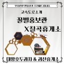 칠곡휴게소 꿀벌홍보관 점보호두과자 후기