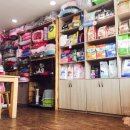 멍멍이랑 호호아줌마 이미지