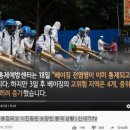 신세기방역 네이버블로그