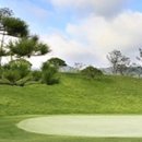 매일골프존 이미지