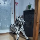 놀러와펜션(민박) 이미지