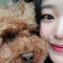 꿈아브로우 이미지