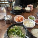 솔리데오 | 🩶 (아이브스튜디오/에토프꾸띄르/정남/소공/솔리데오)