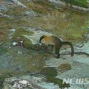 다도해해상국립공원