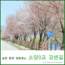 우두강둑길 이미지