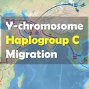 What is the migration route of... humans with Y-chromosome haplogroup C? 이미지