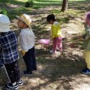 고인돌 유아숲체험원 이미지