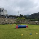 포레스트258 펜션 이미지